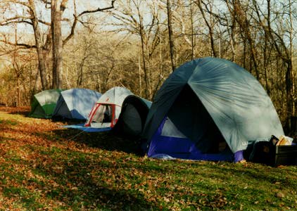 Tents in a row