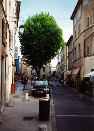 View down a narrow street with a tree in it