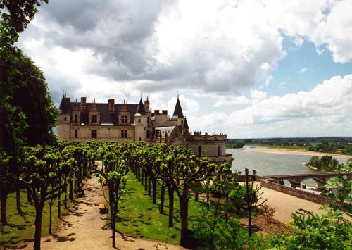 A tree garden with Amboise chateau in background